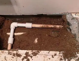 东乡测漏水哪家好