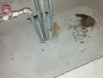 东乡卫生间测漏水价格明细