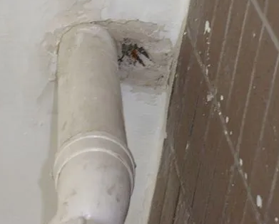 东乡漏水检测哪家好